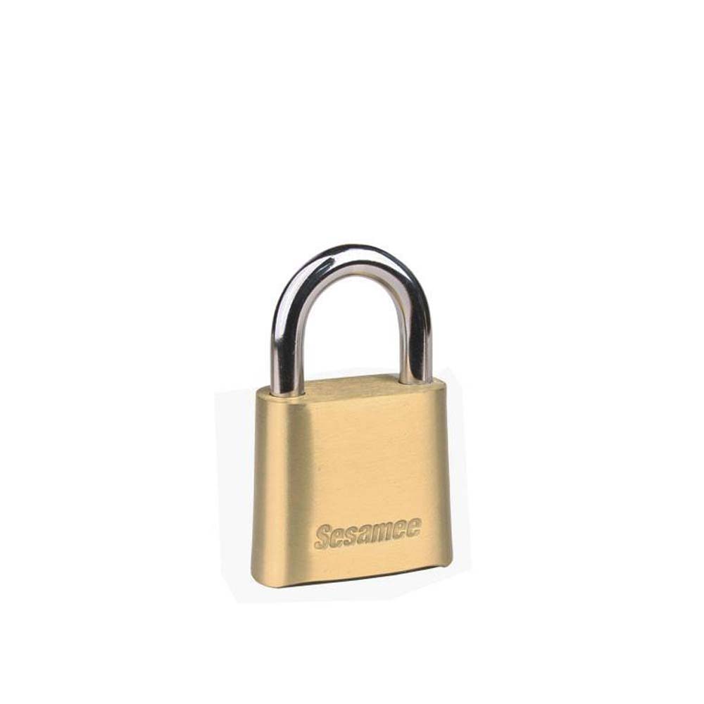 image of master padlock